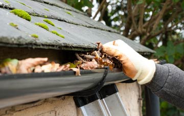 gutter cleaning Lydeard St Lawrence, Somerset