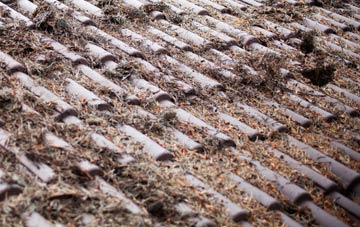 Lydeard St Lawrence roof cleaning companies